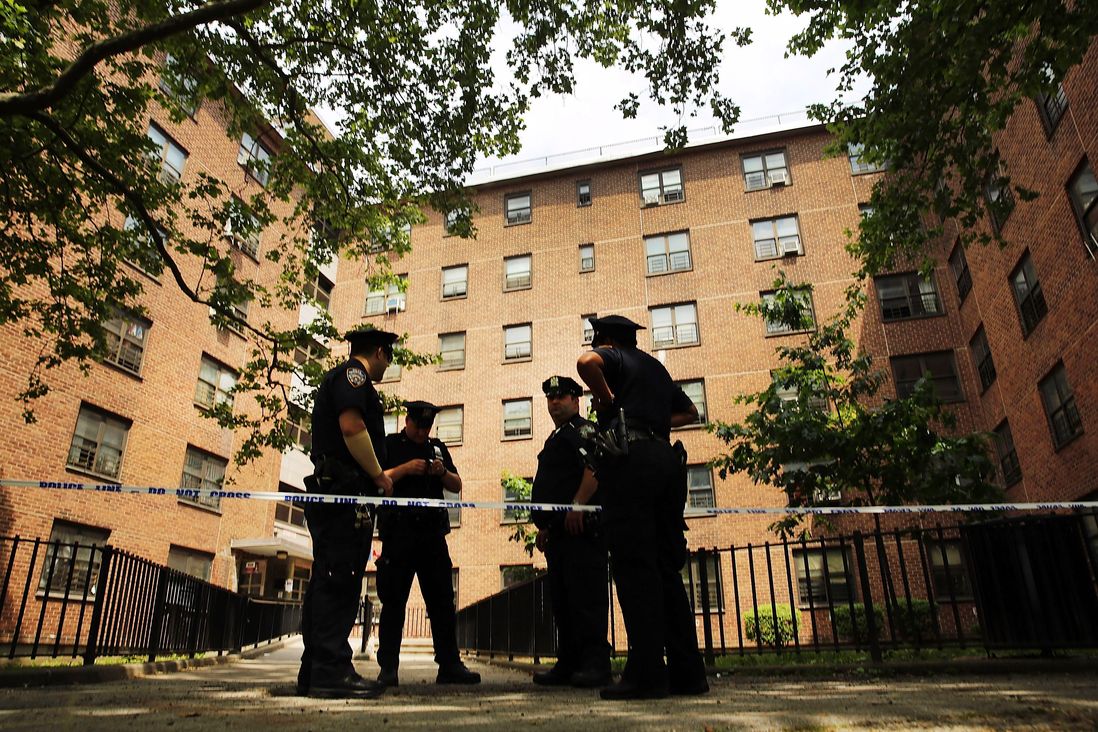 Police officers at the Boulevard Houses in East New York, where P.J. and Mikayla Capers were attacked